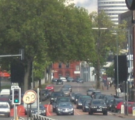 Bristol Road Tree 2005