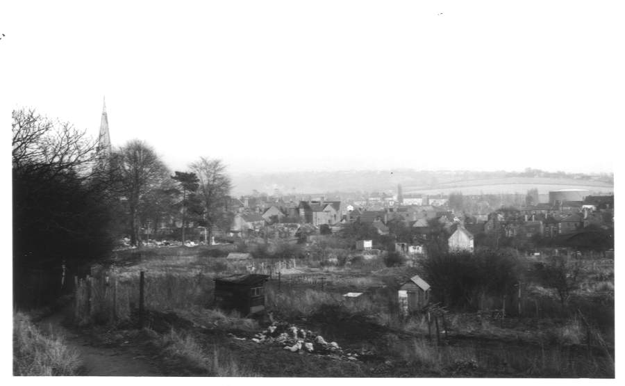 Halesowen Allotments, Jan 1956