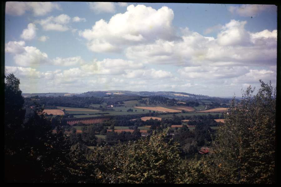 View from Frith Wood