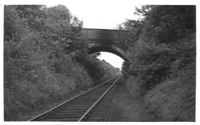 Halesowen Branch near Frankley Sidings