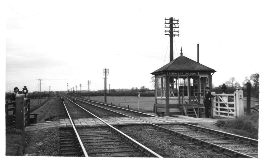 Oddingley Crossing 1955