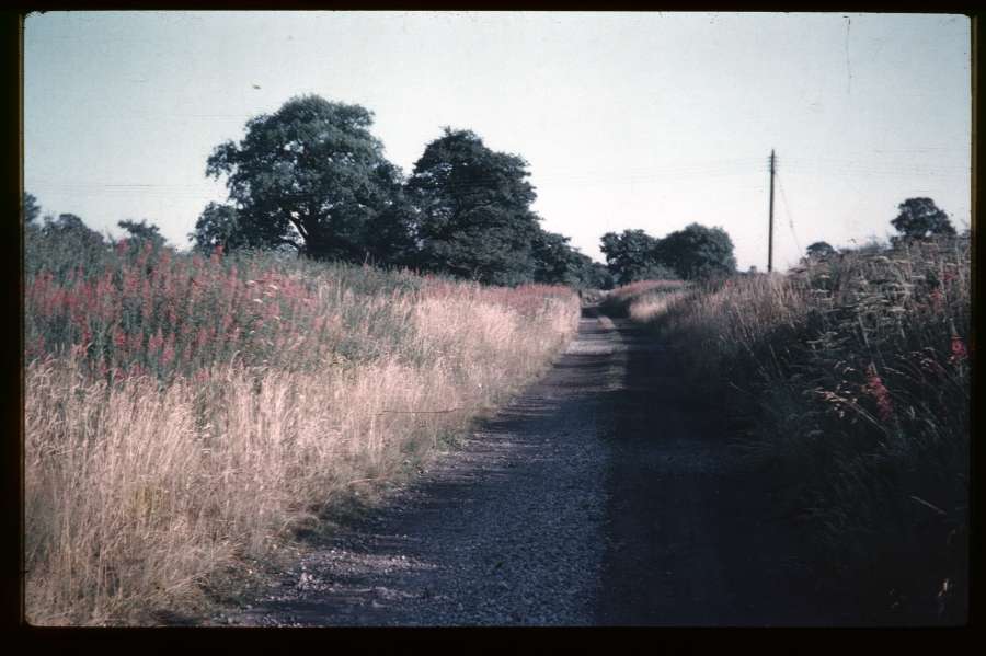 Site of Whitacre Hampton branch line