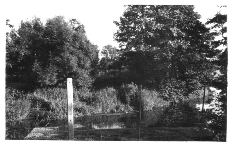 Site of bridge over River Blythe on Whitacre branch