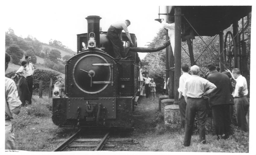 The Earl nr Llanfair Caereinion Station